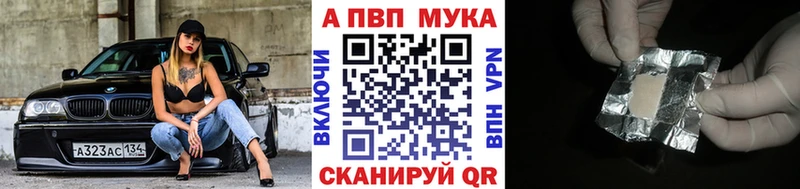A PVP СК  Микунь 